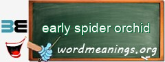 WordMeaning blackboard for early spider orchid
